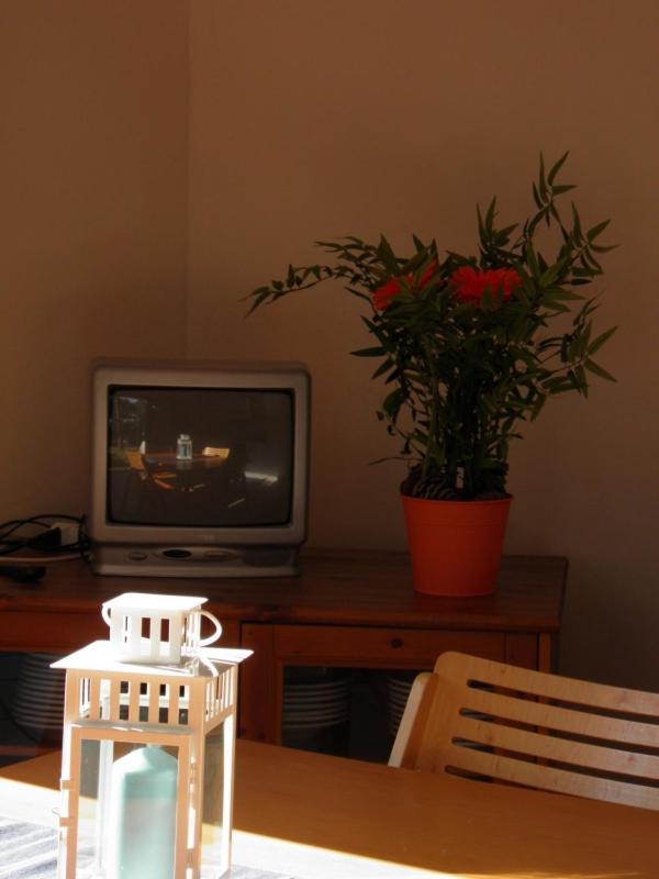 Maremmare Tuscany Apartments Principina a Mare Εξωτερικό φωτογραφία