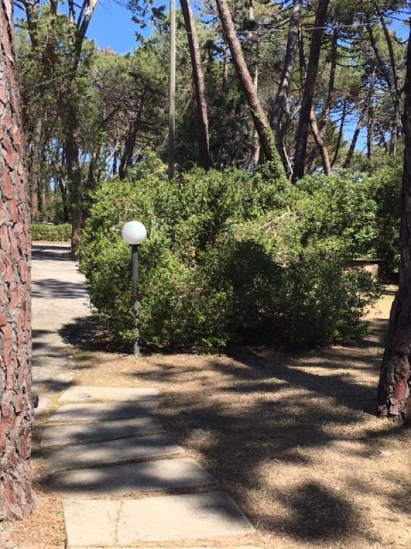 Maremmare Tuscany Apartments Principina a Mare Εξωτερικό φωτογραφία